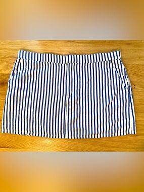 Sophie Rue Blue and White Striped Mini Skirt